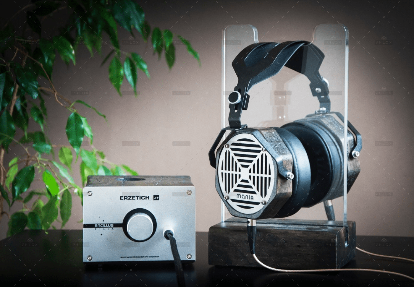 Women are going but are also being Amplifier Contemporary Electronics 2426083